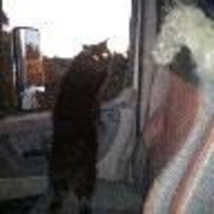 Meet your Posher, Kim